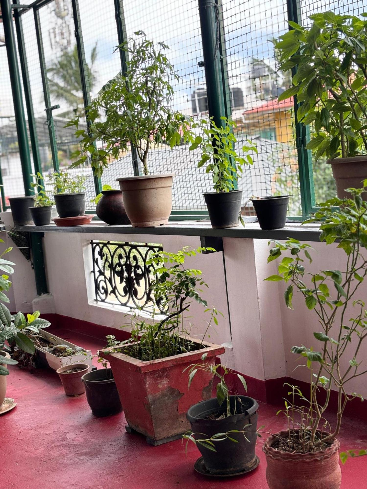 Beza Homestay Kochi Bagian luar foto